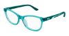Picture of Puma Eyeglasses PJ0077O