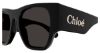 Picture of Chloe Sunglasses CH0233S