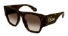 Picture of Chloe Sunglasses CH0233S