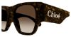 Picture of Chloe Sunglasses CH0233S