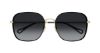 Picture of Chloe Sunglasses CH0255SK