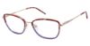 Picture of Nicole Miller Eyeglasses TORINO