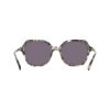 Picture of Draper James Sunglasses DJ7072