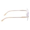 Picture of Airlock Eyeglasses AL 101