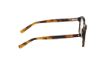 Picture of Abercrombie & Fitch Eyeglasses AF50053