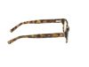 Picture of Abercrombie & Fitch Eyeglasses AF50029