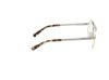 Picture of Abercrombie & Fitch Eyeglasses AF50023