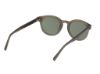 Picture of Abercrombie & Fitch Sunglasses AF00043