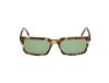 Picture of Abercrombie & Fitch Sunglasses AF00039