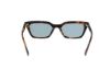 Picture of Abercrombie & Fitch Sunglasses AF00031