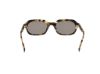 Picture of Abercrombie & Fitch Sunglasses AF00030