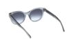 Picture of Abercrombie & Fitch Sunglasses AF00029