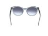 Picture of Abercrombie & Fitch Sunglasses AF00029