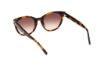 Picture of Abercrombie & Fitch Sunglasses AF00029