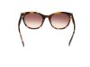 Picture of Abercrombie & Fitch Sunglasses AF00029