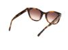 Picture of Abercrombie & Fitch Sunglasses AF00029