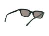 Picture of Abercrombie & Fitch Sunglasses AF00031
