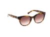 Picture of Abercrombie & Fitch Sunglasses AF00029