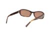 Picture of Abercrombie & Fitch Sunglasses AF00026