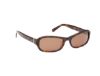 Picture of Abercrombie & Fitch Sunglasses AF00026