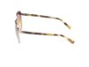 Picture of Abercrombie & Fitch Sunglasses AF00019
