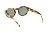 Picture of Abercrombie & Fitch Sunglasses AF00022