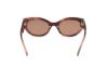 Picture of Abercrombie & Fitch Sunglasses AF00024
