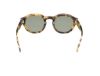 Picture of Abercrombie & Fitch Sunglasses AF00022