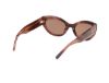 Picture of Abercrombie & Fitch Sunglasses AF00024