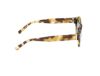 Picture of Abercrombie & Fitch Sunglasses AF00022
