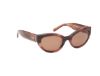 Picture of Abercrombie & Fitch Sunglasses AF00024
