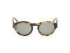 Picture of Abercrombie & Fitch Sunglasses AF00022