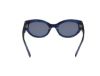 Picture of Abercrombie & Fitch Sunglasses AF00024