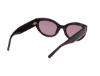 Picture of Abercrombie & Fitch Sunglasses AF00024