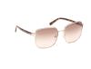 Picture of Abercrombie & Fitch Sunglasses AF00019