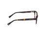 Picture of Guess Jeans Eyeglasses GJ50003