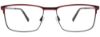 Picture of Takumi Eyeglasses TK1310