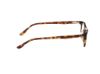 Picture of Hollister Eyeglasses HL50044