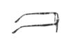 Picture of Hollister Eyeglasses HL50044
