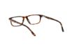 Picture of Hollister Eyeglasses HL50043