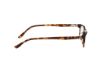 Picture of Hollister Eyeglasses HL50043