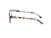 Picture of Hollister Eyeglasses HL50039
