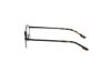 Picture of Hollister Eyeglasses HL50036