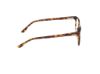 Picture of Hollister Eyeglasses HL50040