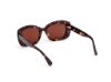 Picture of Max Mara Sunglasses MM0170