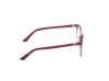 Picture of Guess Eyeglasses GU50338-D