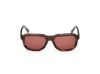 Picture of Guess Sunglasses GU00278
