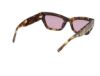 Picture of Abercrombie & Fitch Sunglasses AF00027