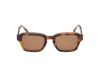 Picture of Abercrombie & Fitch Sunglasses AF00036