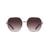 Picture of Longchamp Sunglasses LO187S
